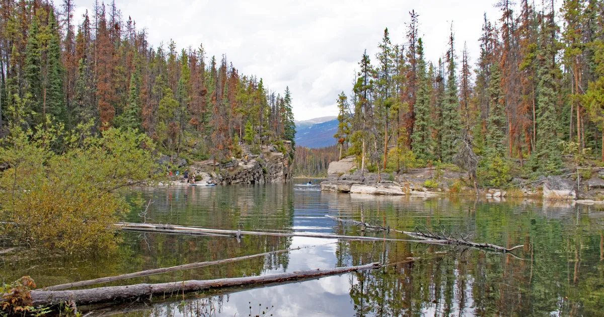 Horseshoe Lake Trail