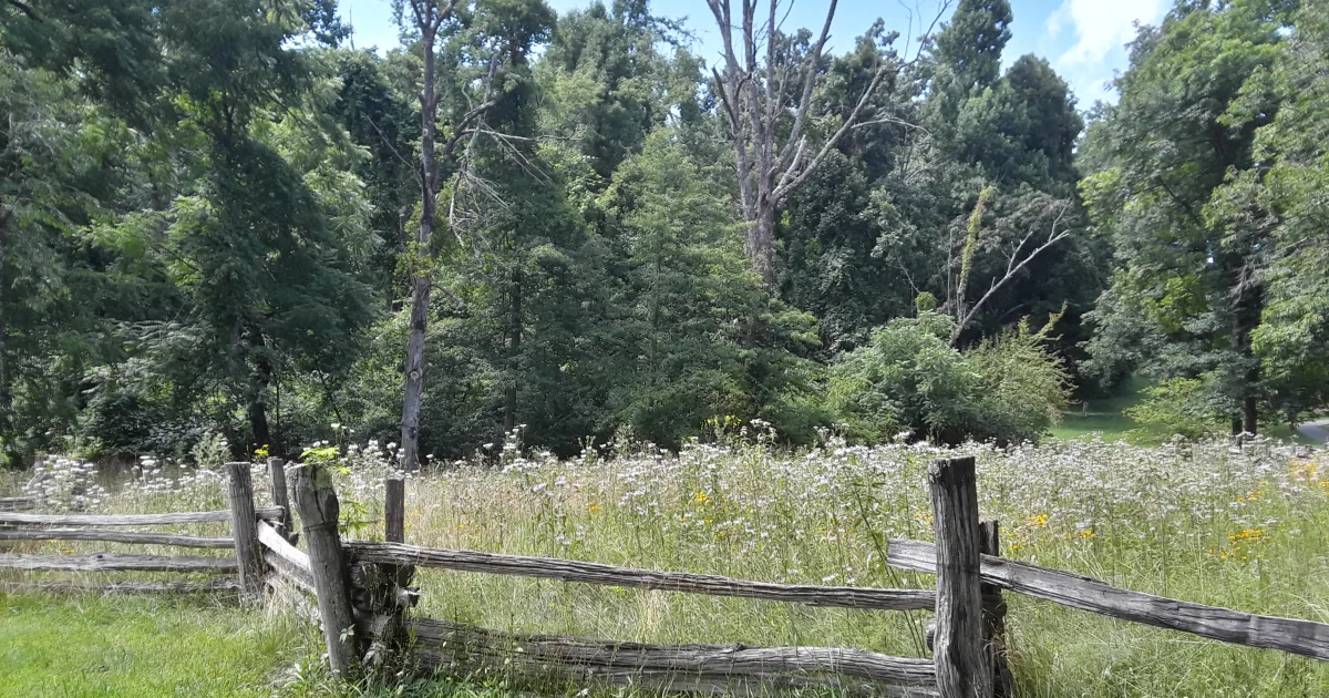 Humpback Rocks Trail — Blue Ridge Pkwy, VA