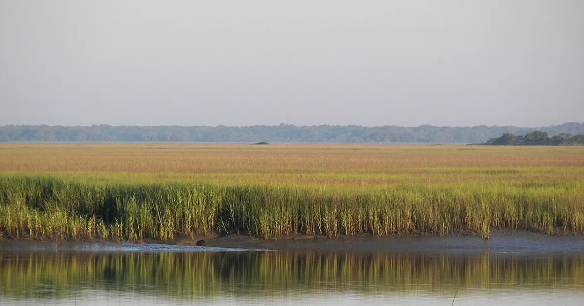 Hunting Island Beach Trail — Hunting Island State Park, SC