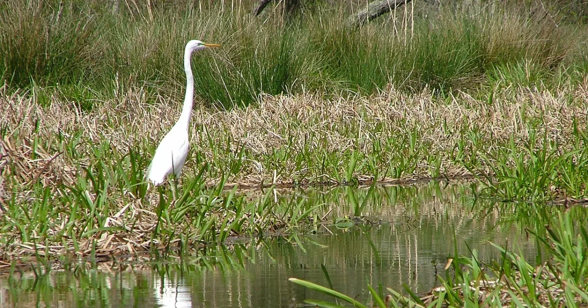 Huntsville State Park Trail