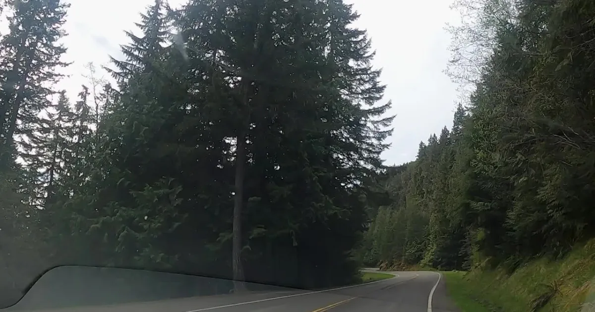 Hurricane Ridge Trail