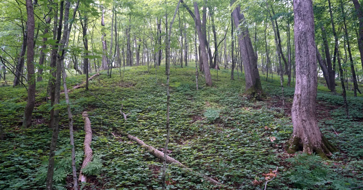 Ice Age Trail — Pewaukee Section