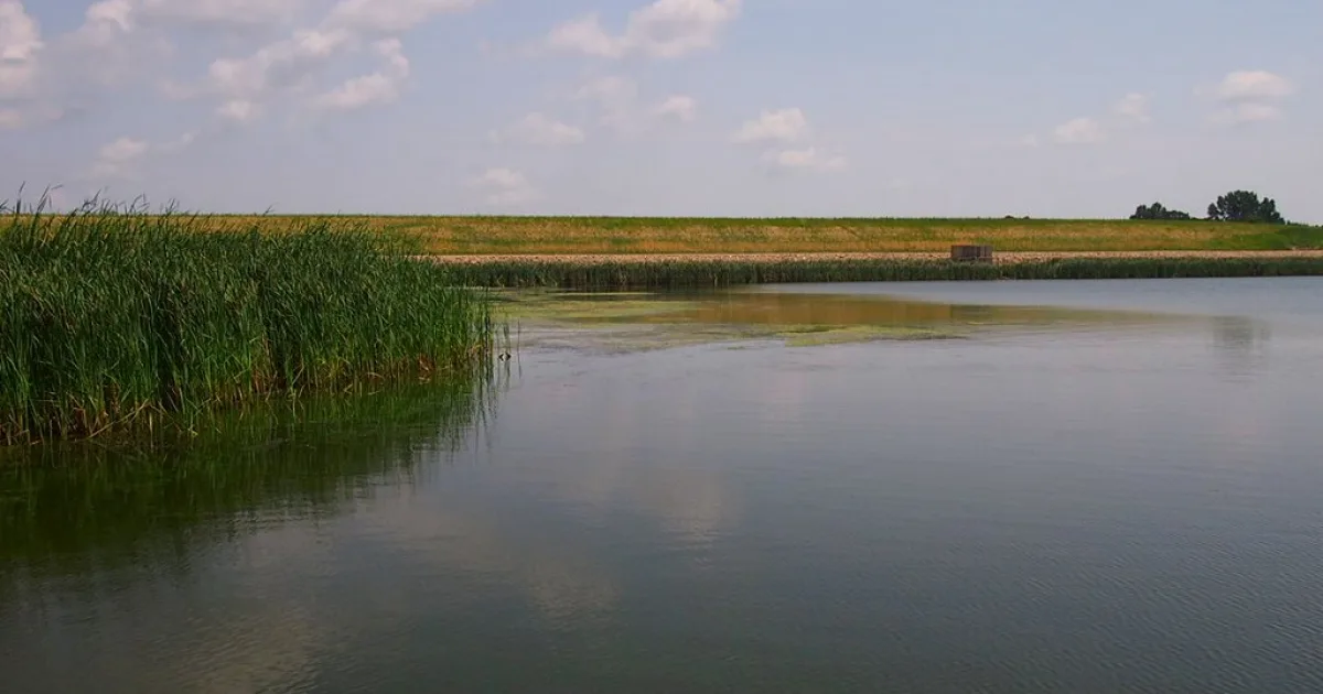 Icelandic State Park Trail