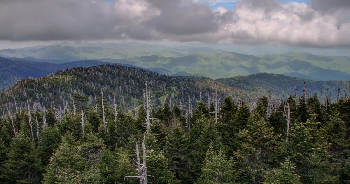 Ijams Nature Center MTB — Knoxville, Tennessee