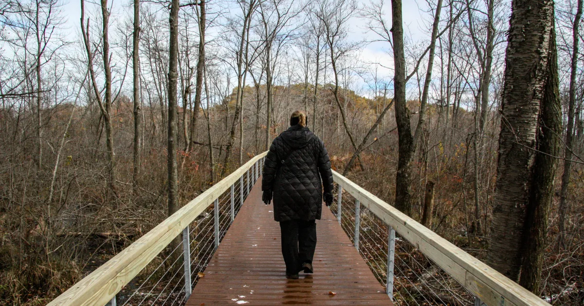 Indiana Dunes Cowles Bog Trail