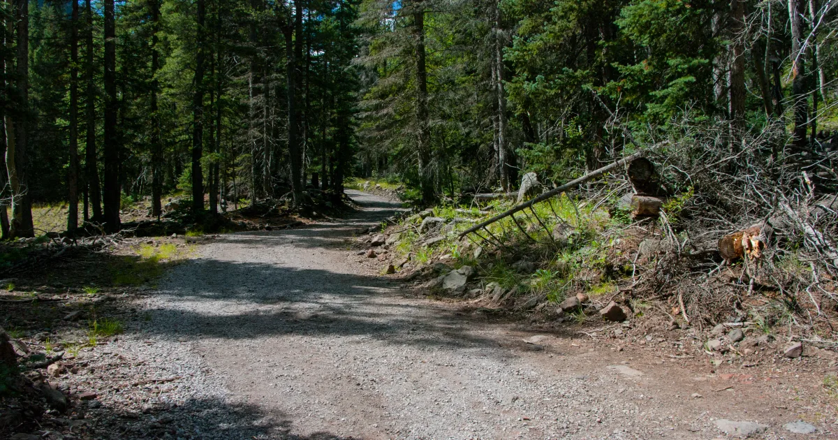 Inner Basin Trail