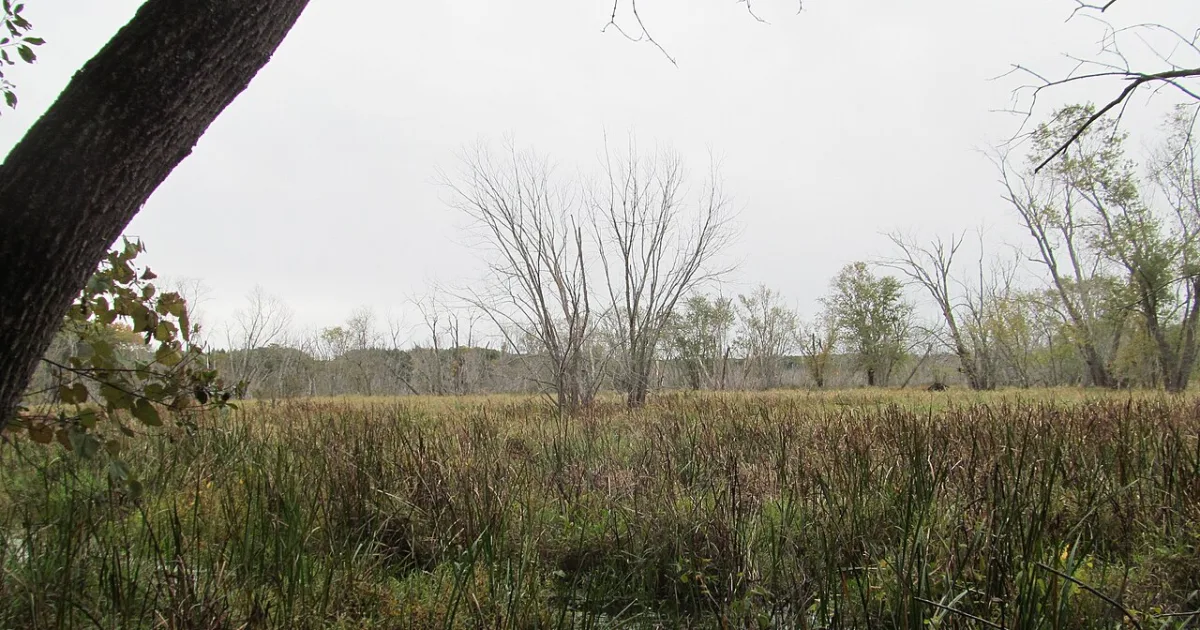 Ipswich River Wildlife Sanctuary Trail