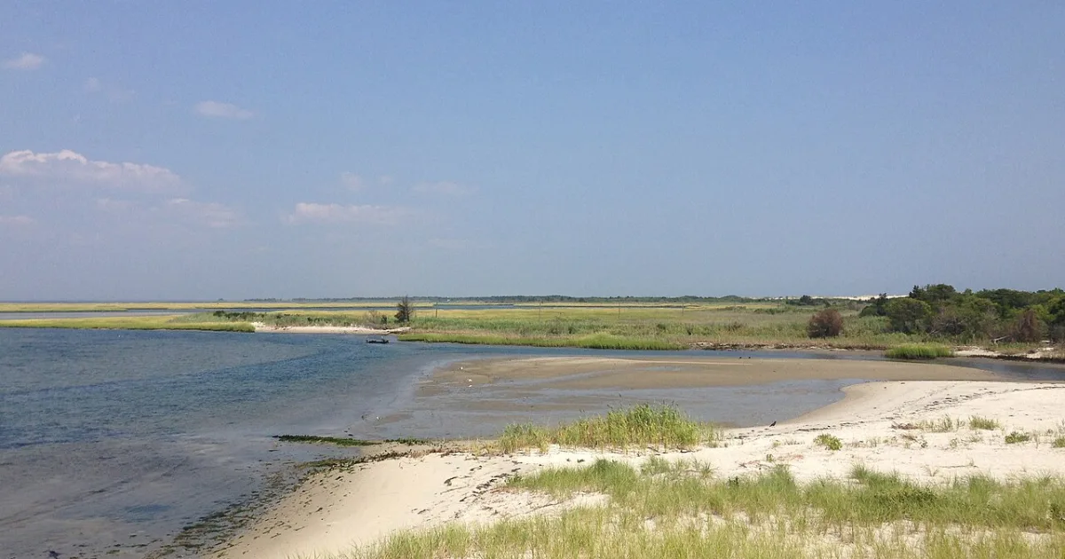 Island Beach State Park Trail