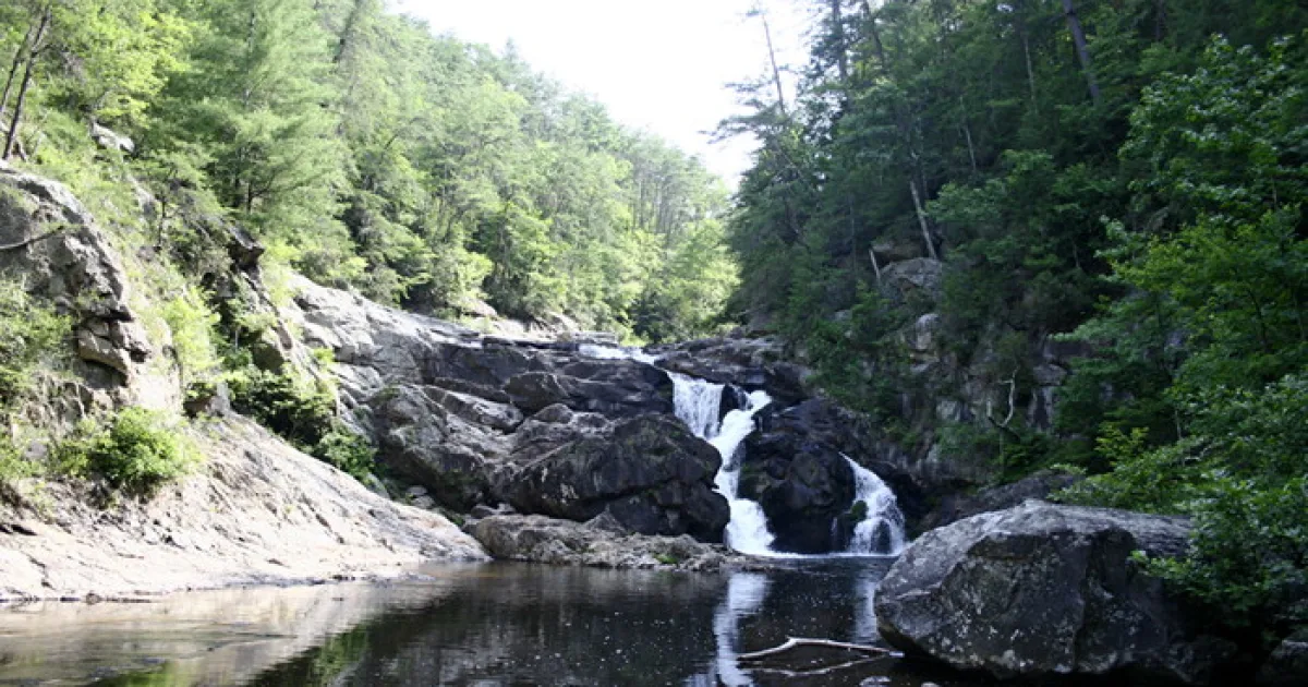 Jack's River Trail — Cohutta Wilderness, GA
