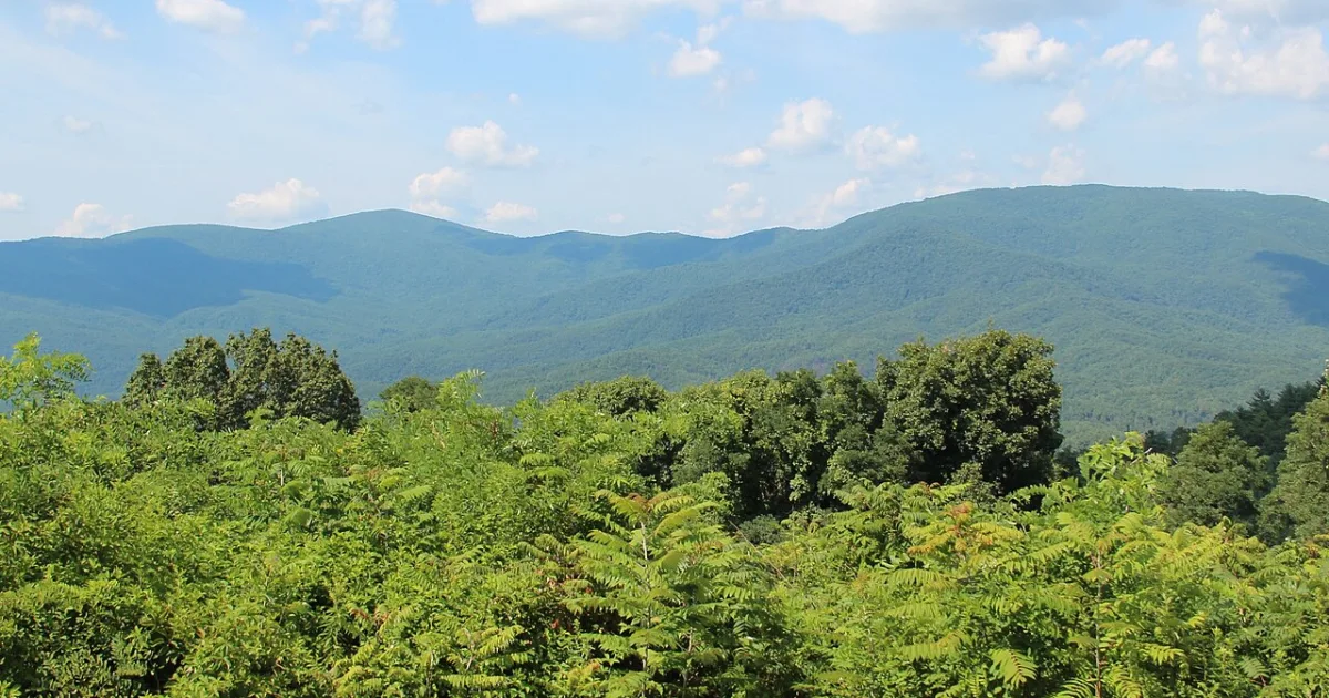 Jacks River Falls Trail — Cohutta Wilderness, GA