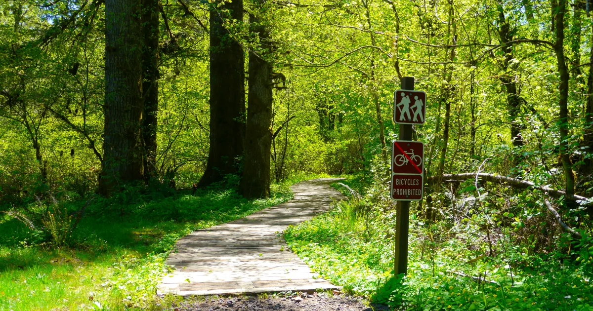 Jocassee Gorges: Whitewater Falls Trail — Salem, South Carolina