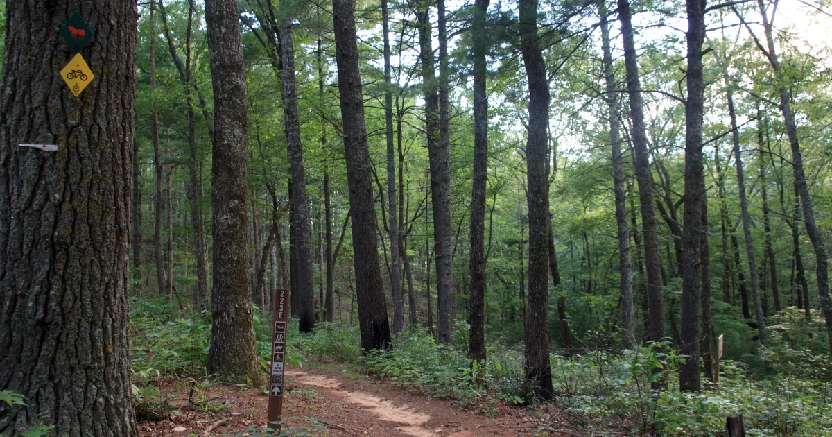 Jones Gap Trail — Jones Gap State Park, SC