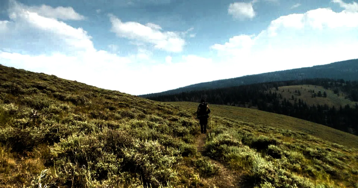 Katmai Coastal Trail