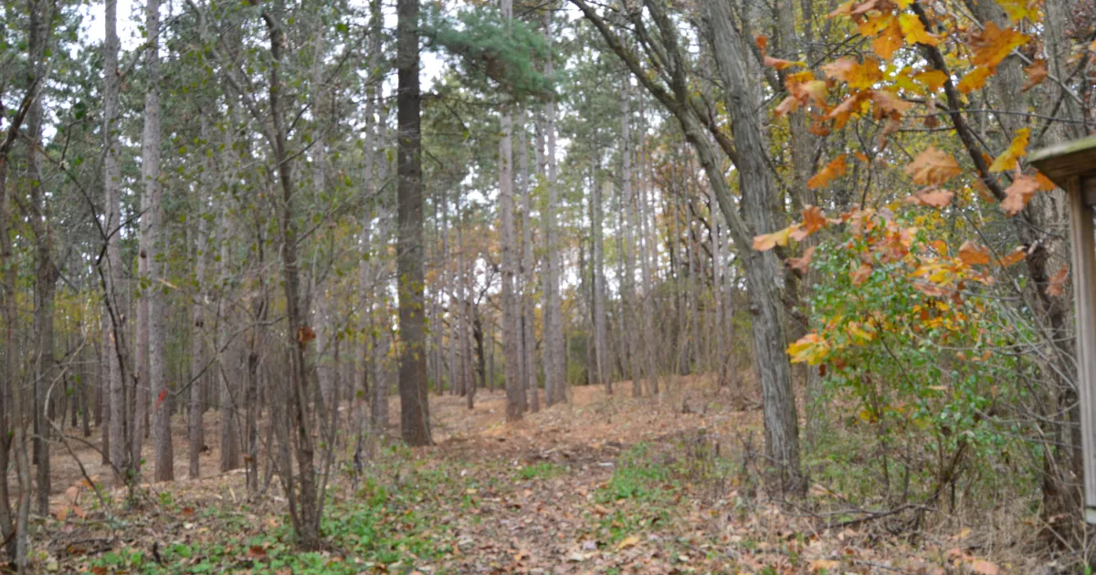 Kettle Moraine — John Muir Trails MTB