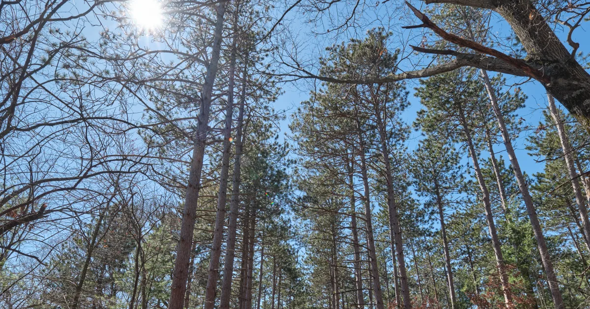 Kettle Moraine Scuppernong Loop