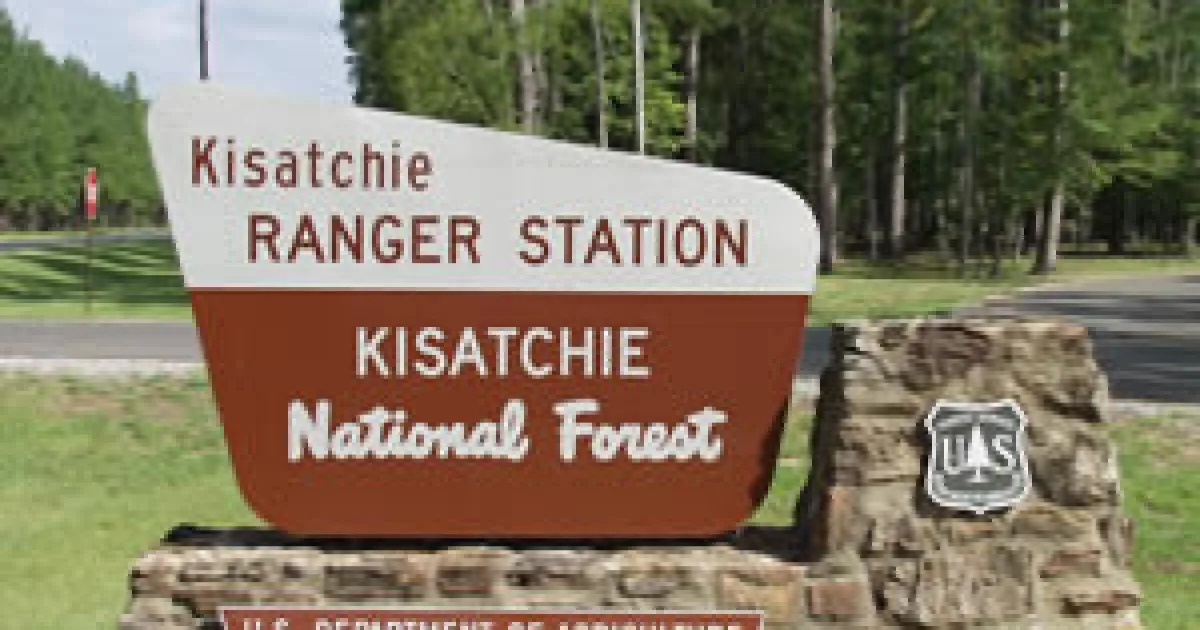 Kisatchie Hills Wilderness Trail — Natchitoches, Louisiana