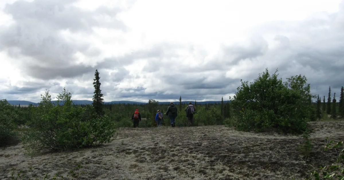 Kobuk Valley Sand Dunes