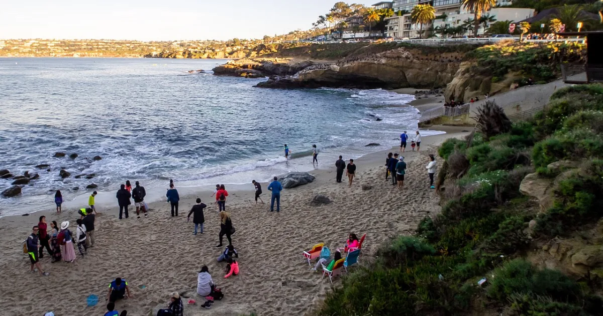 La Jolla Cove Coastal Walk