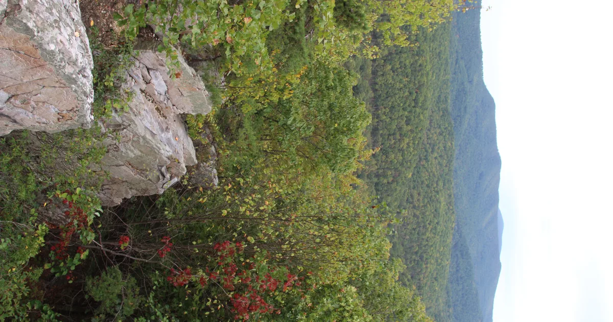 Lake 22 Trail
