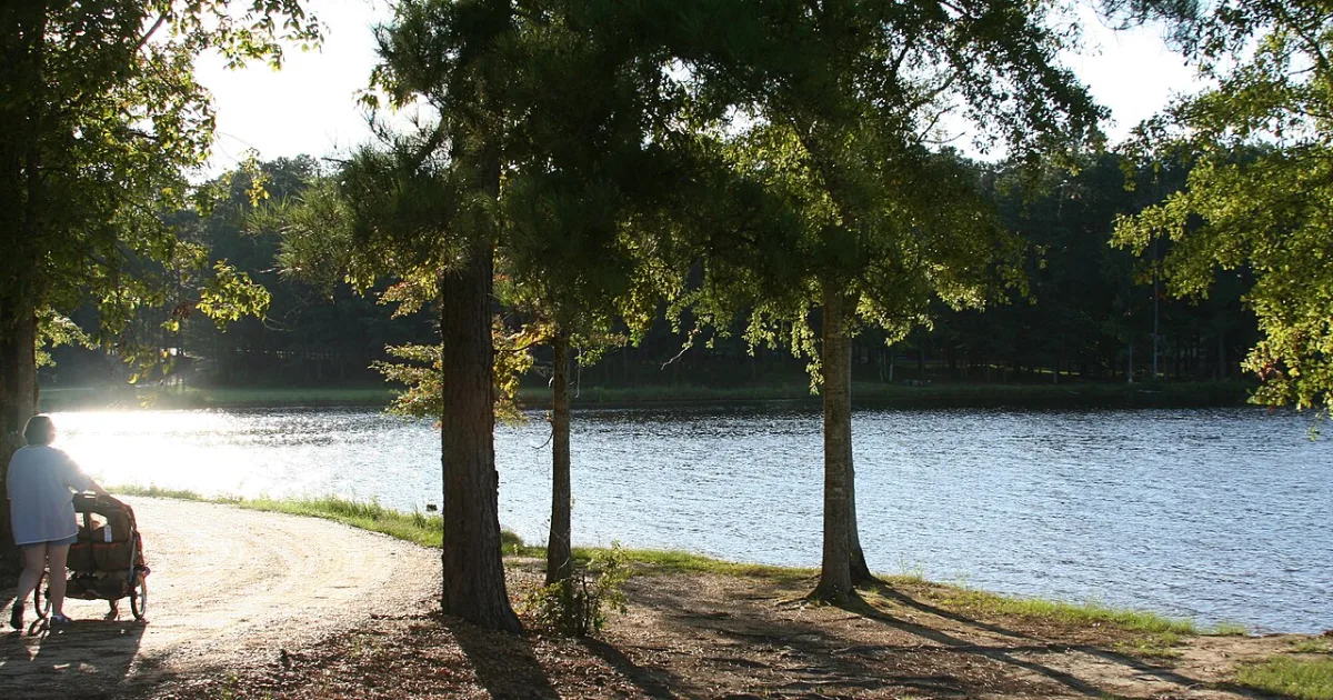 Lake Lincoln State Park Trail — Wesson, Mississippi