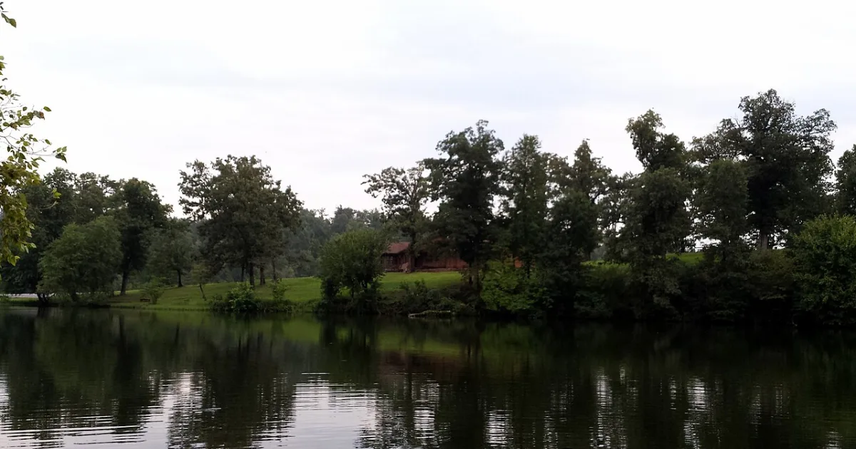 Lake Wedington Trail
