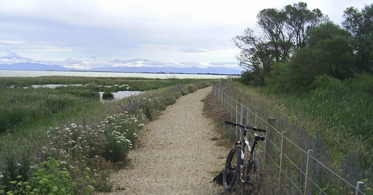 Lakes Region Rail Trail
