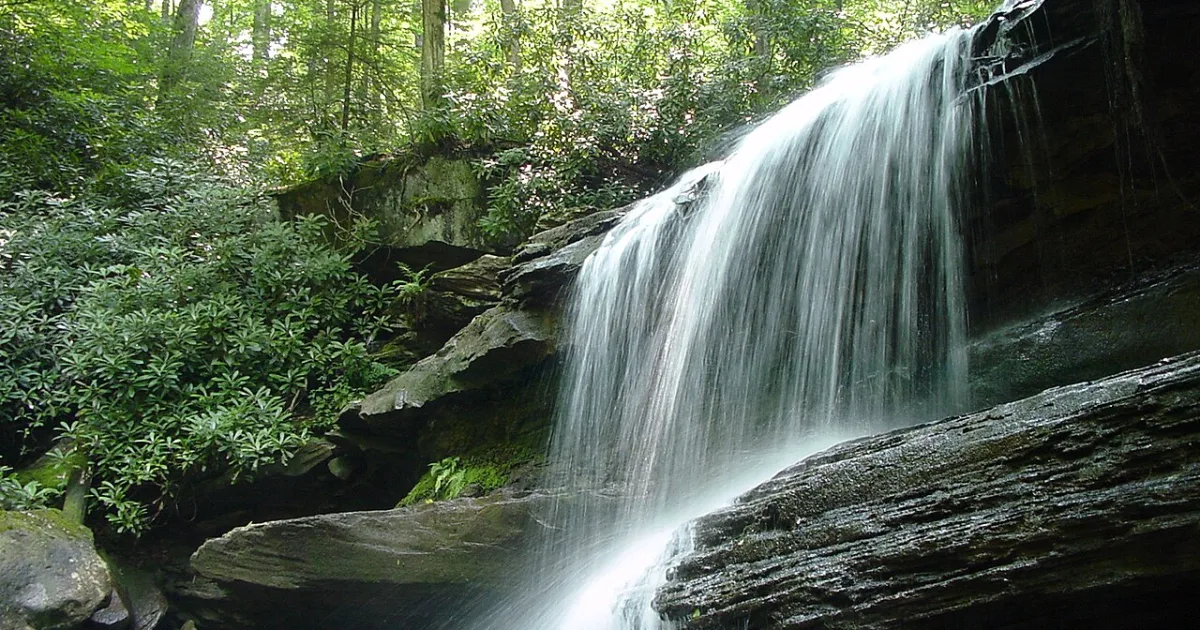 Laurel Highlands Hiking Trail — Section 1