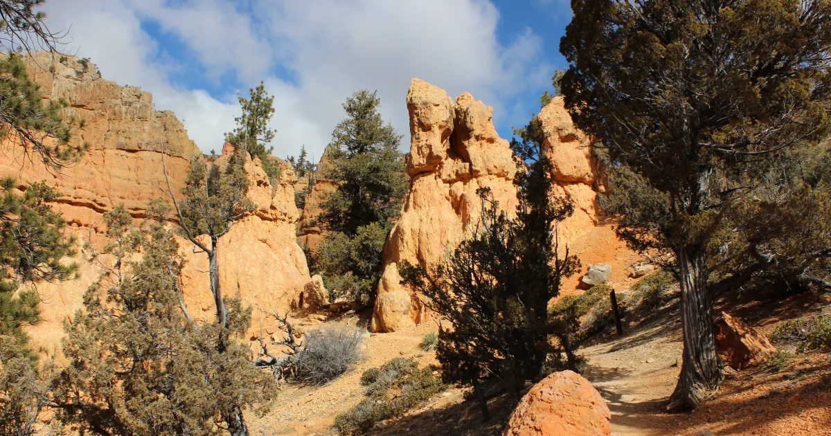 Ledges Trail