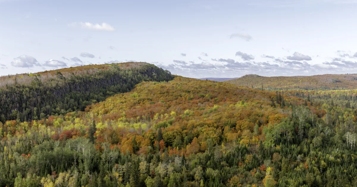 Leveaux Mountain Trail