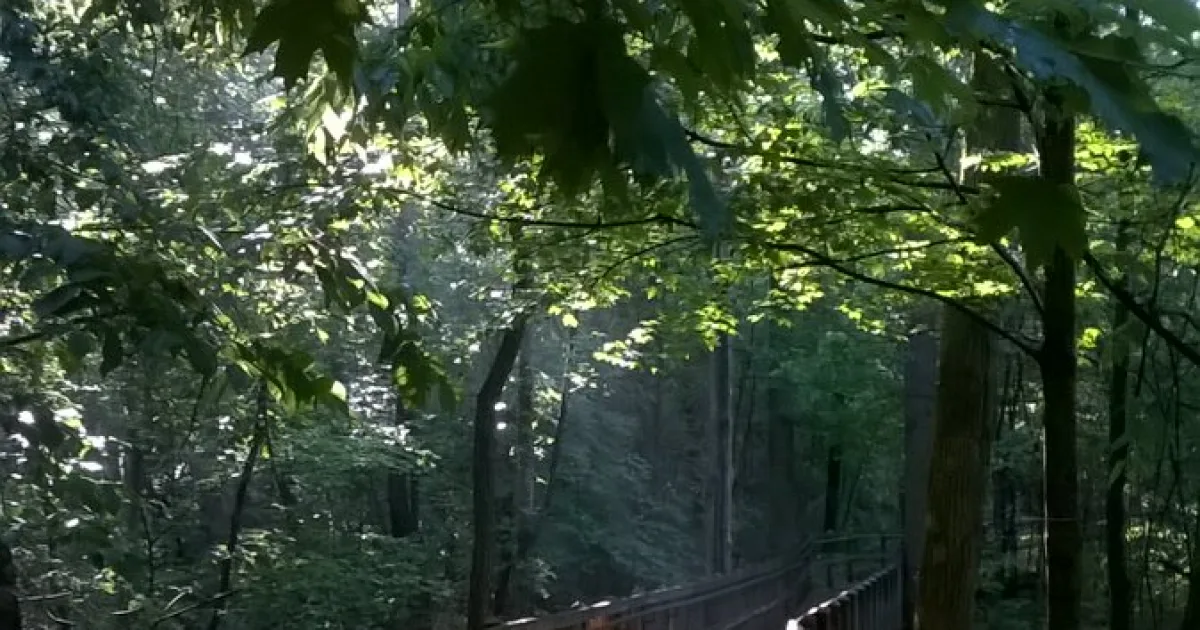 Lincoln Trail State Park Trail