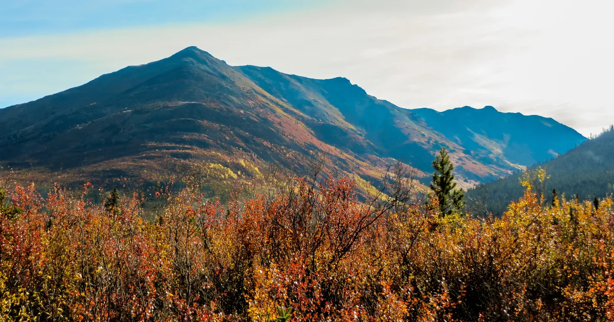 Little Moose Mountain Trail