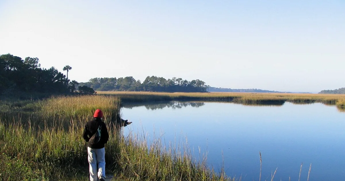 Little Talbot Island Trail — Little Talbot Island SP, FL