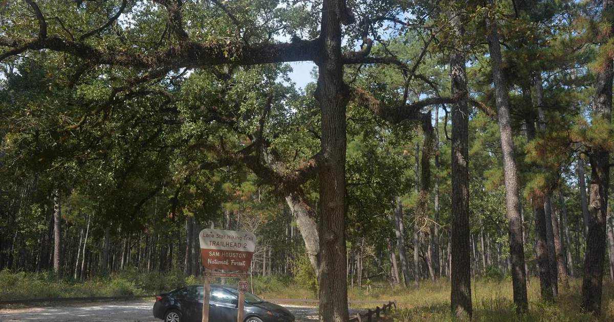 Lone Star Hiking Trail