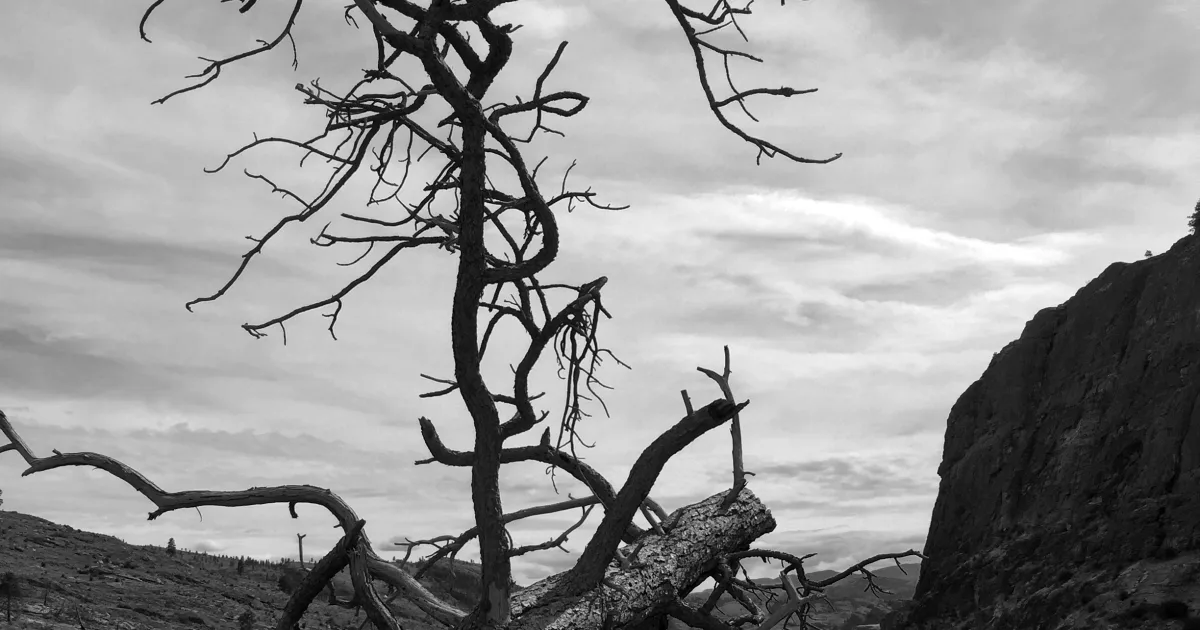 Long Pine State Recreation Area Trail