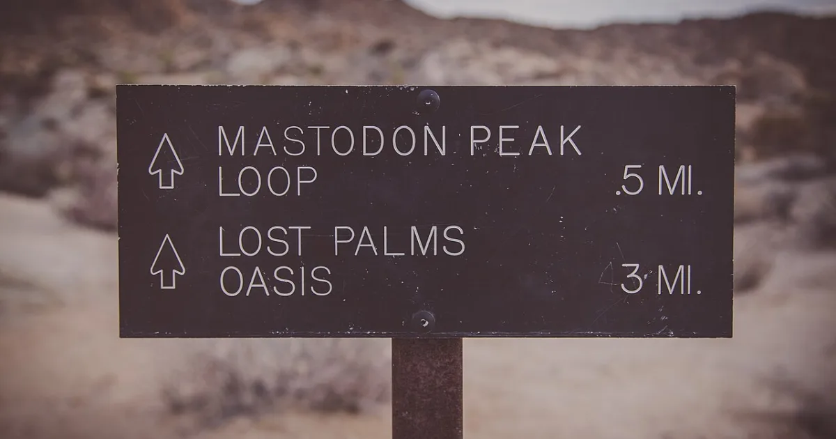 Lost Palms Oasis Trail