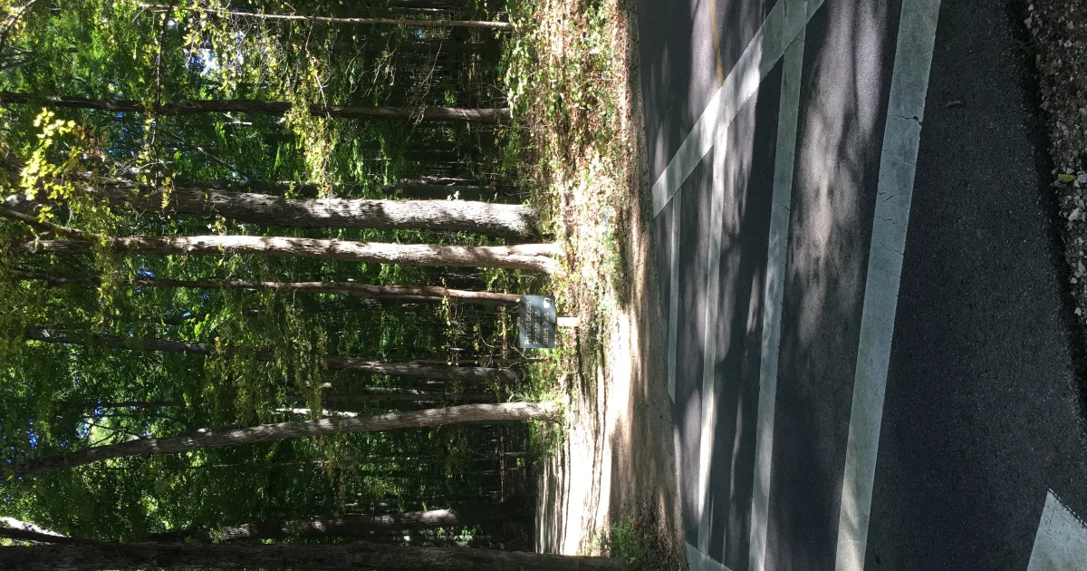 Loup Power Canal Trail