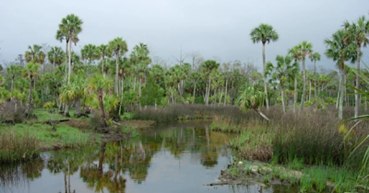 Lower Suwannee NWR Trail — Lower Suwannee NWR, FL