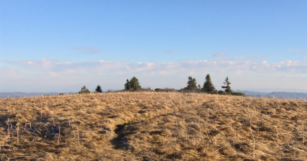 Roan Mountain Highlands