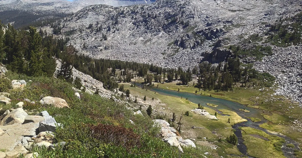 CA - Lyell Canyon Section
