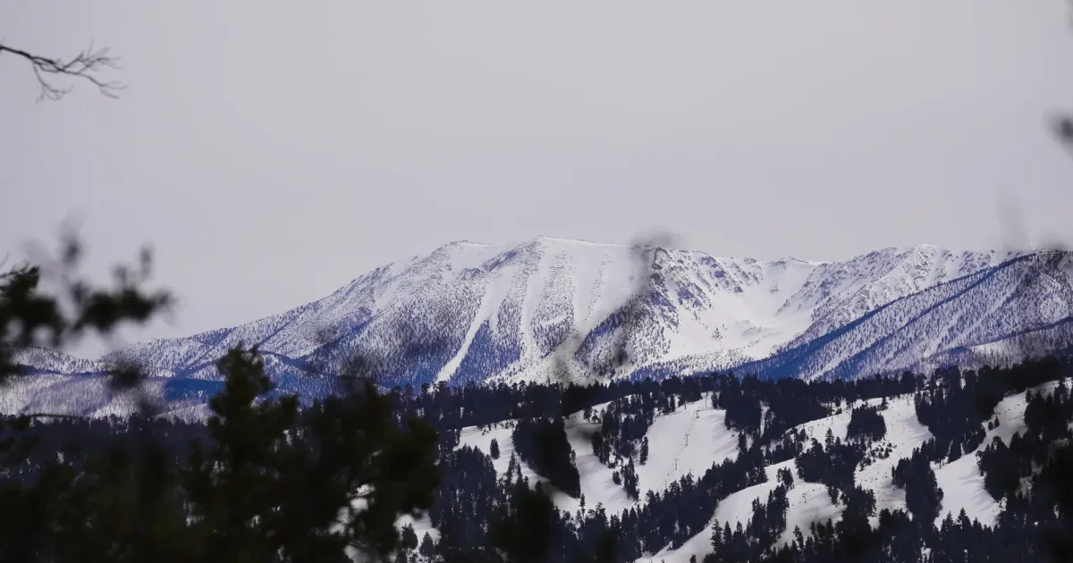 TRT - Mount Rose Section