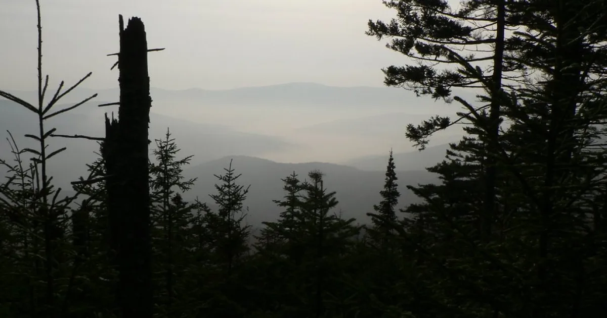 Mad River Glen: General Stark Trail — Waitsfield, Vermont