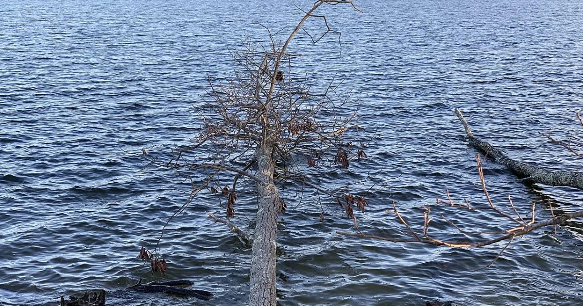 Manasquan Reservoir Trail