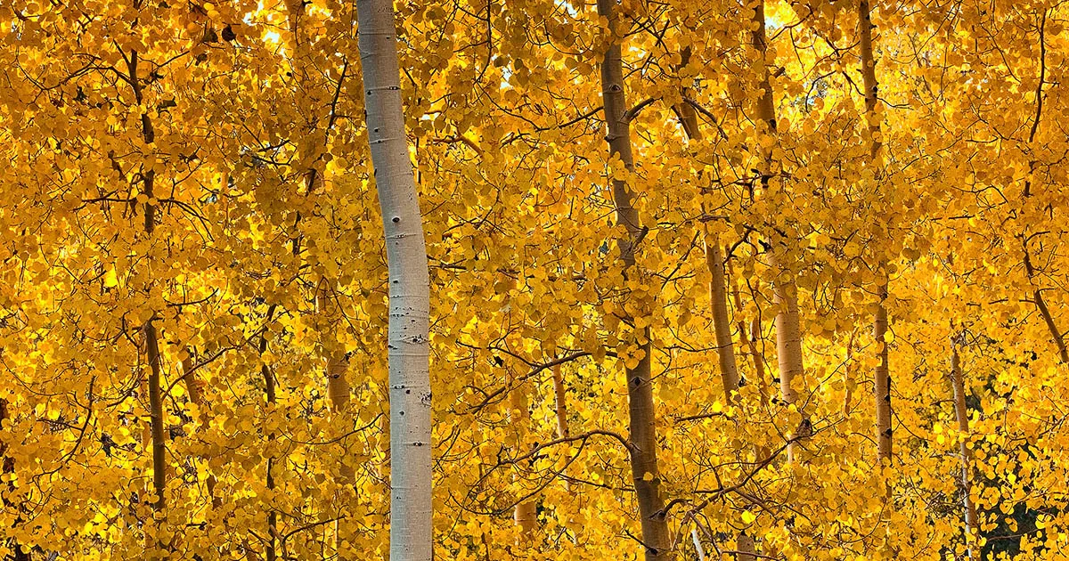 Maroon Bells Four Pass Loop — Aspen, Colorado