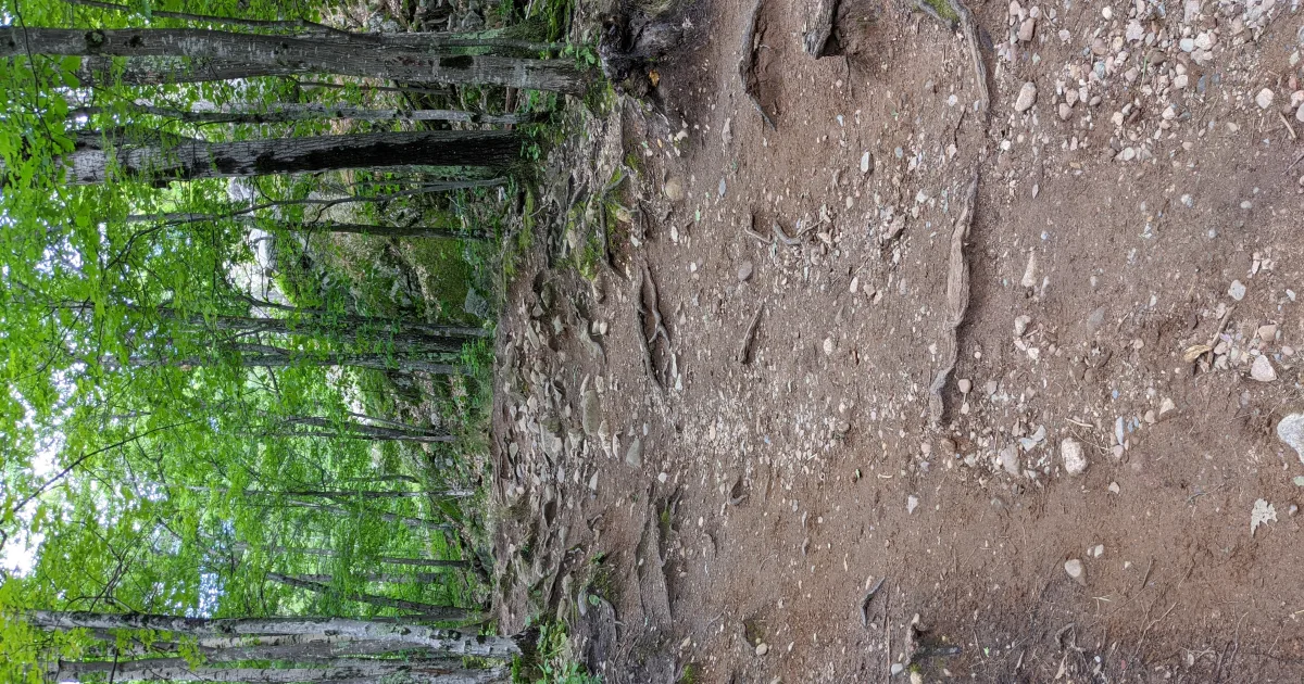 Marquette MTB — Forestville