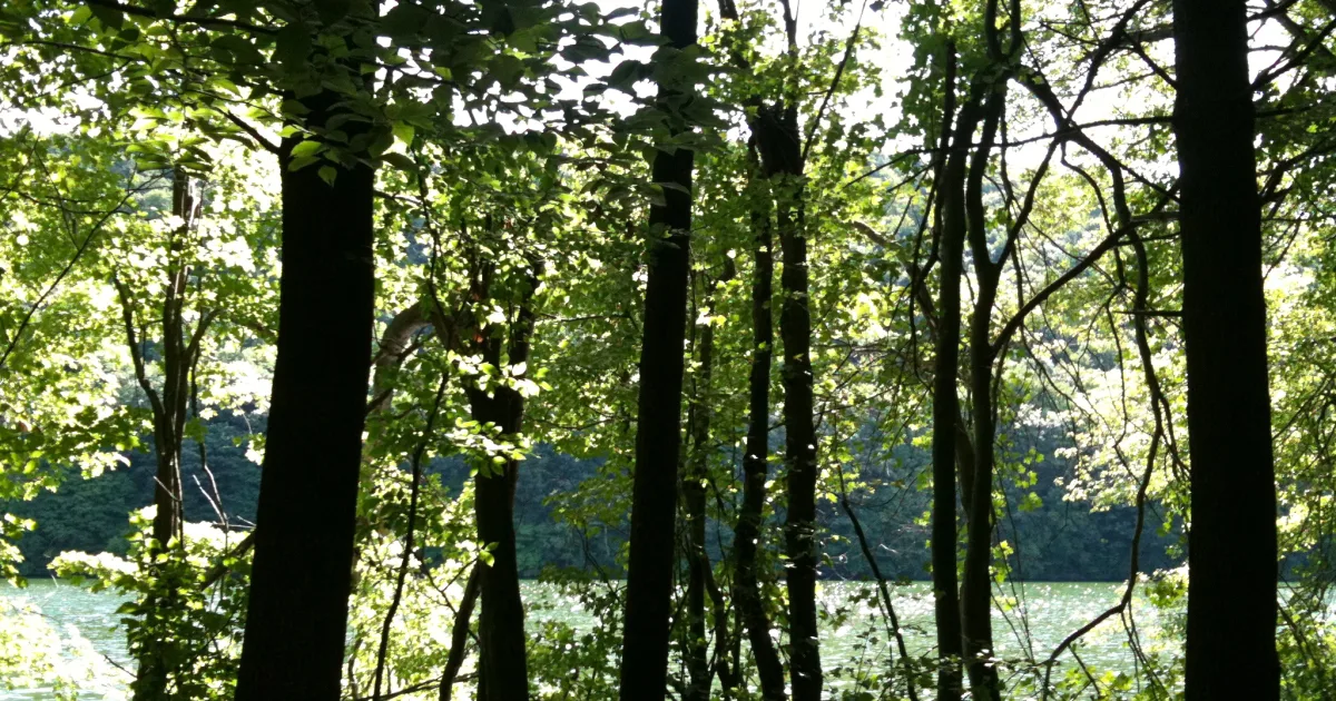 Mattabesett Trail Blue Blazed Section