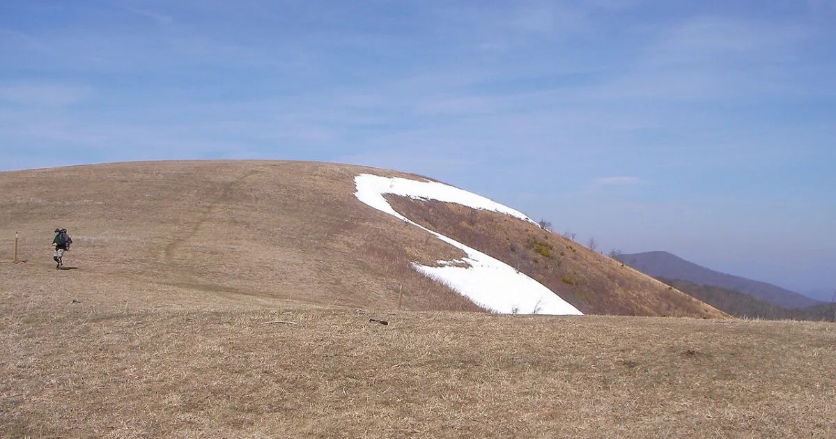 Max Patch Loop
