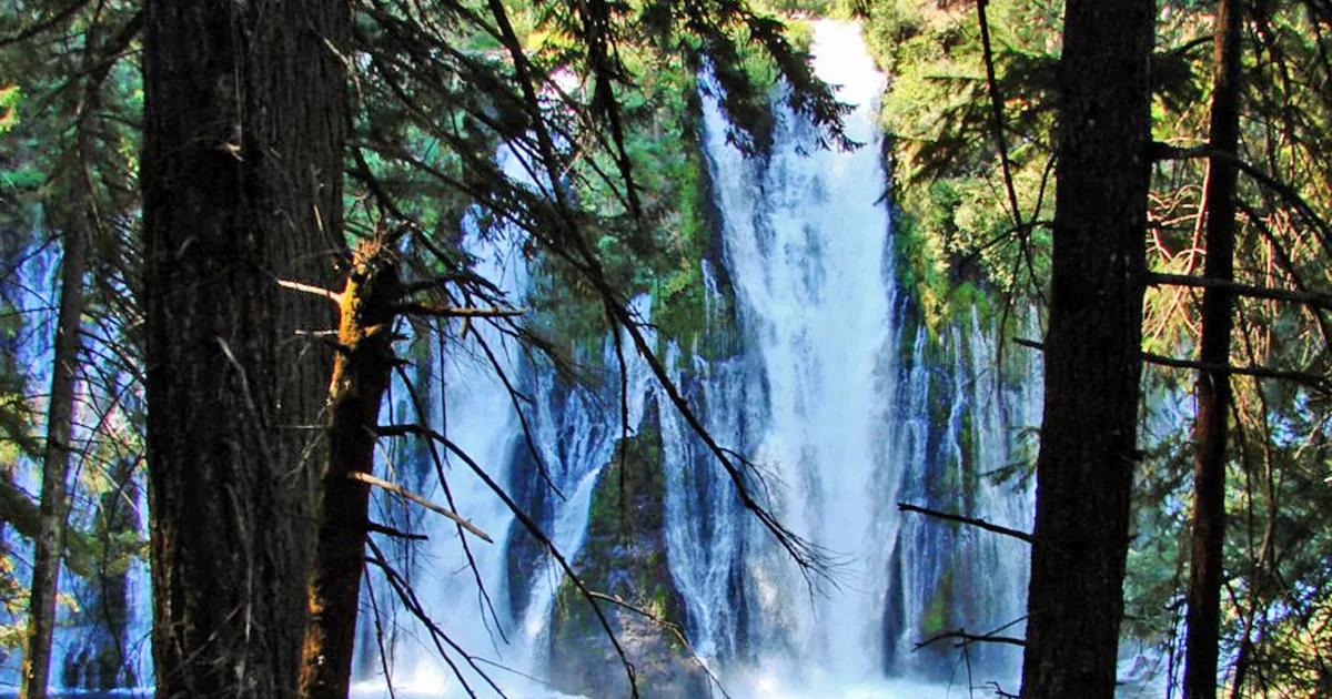 McArthur-Burney Falls Loop