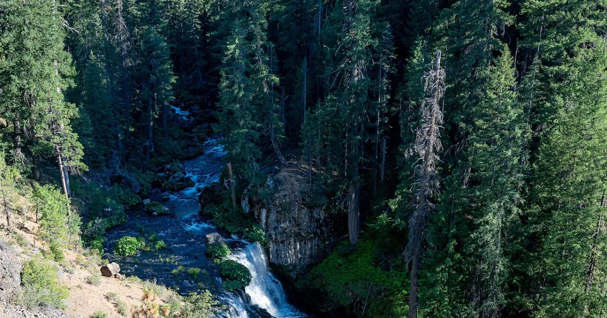 McCloud River Trail