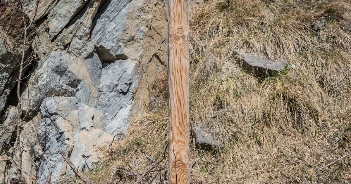 McLeod Wildlife Management Area Trail