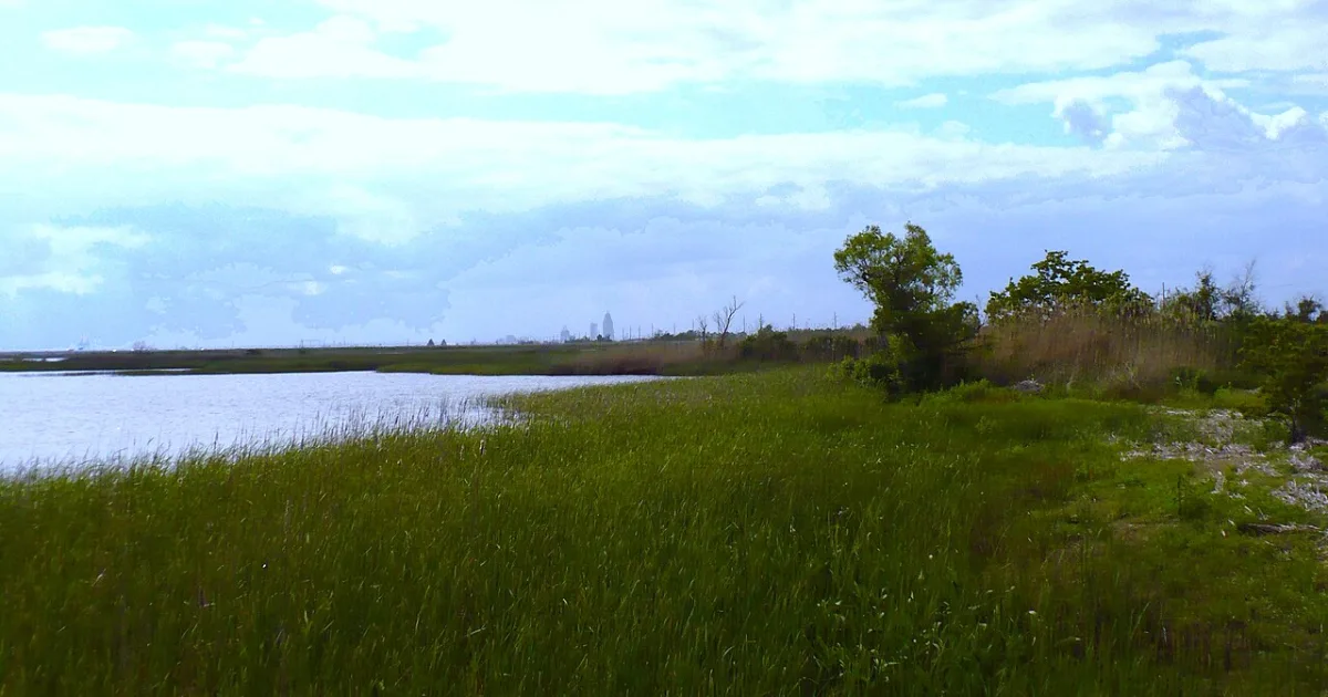 Meaher State Park Trail